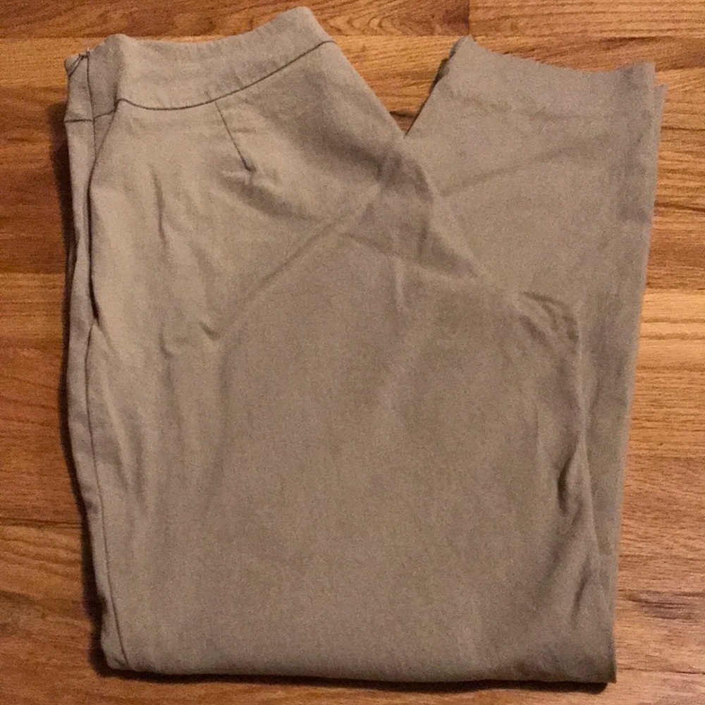 NWOT Time and True Tan Skinny Stretch Pants -  14